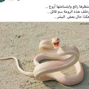 Meet your Posher, Abdull